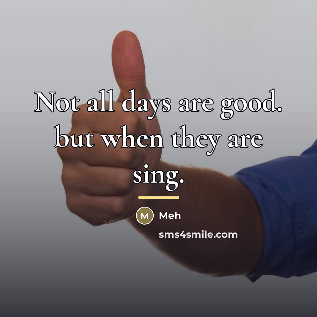 “Not all days are good. but when they are sing.…” quote by Meh