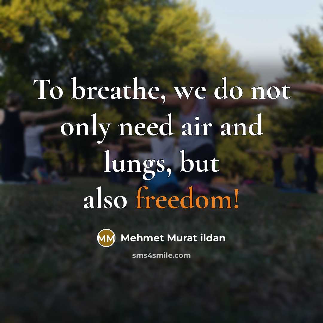 “To breathe, we do not only need air and lungs,…” quote by Mehmet Murat Ildan