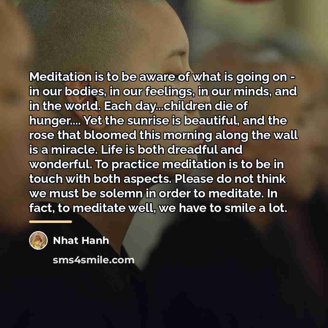 “Meditation is to be aware of what is going on…” quote by Nhat Hanh