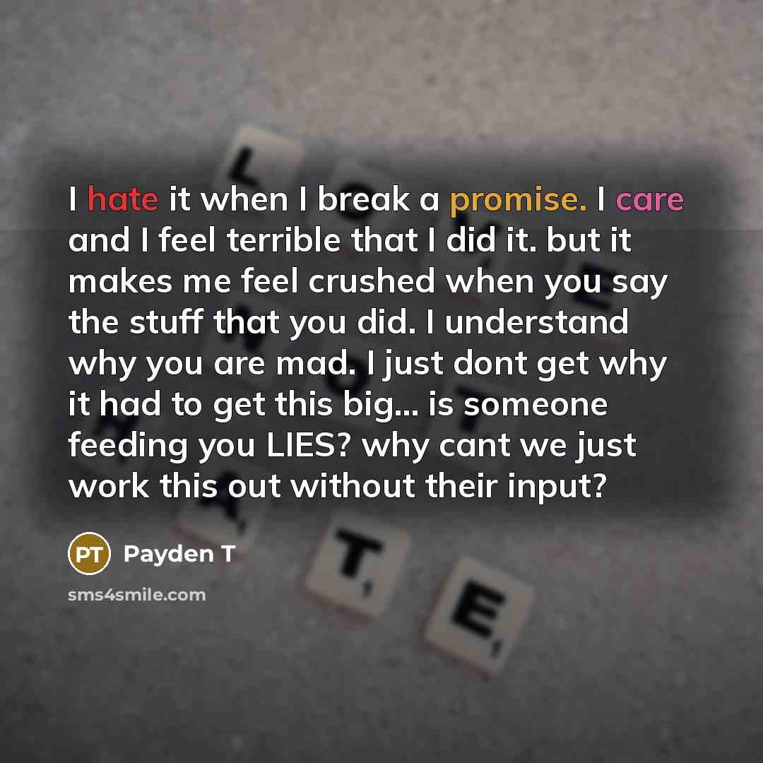 “I hate it when I break a promise. I care and I feel terrible that I did it. but it makes me feel crushed when you say the stuff that you did. I understand why you are mad. I just dont get why it had to get this big... is someone feeding you LIES? why cant we just work this out without their input?” quote by Payden T