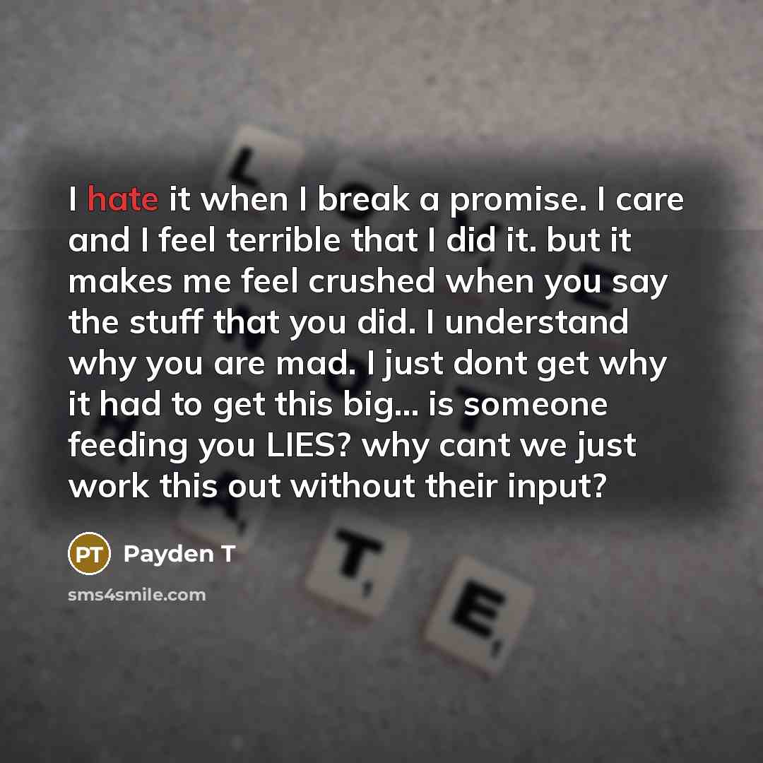 “I hate it when I break a promise. I care and I feel terrible that I did it. but it makes me feel crushed when you say the stuff that you did. I understand why you are mad. I just dont get why it had to get this big... is someone feeding you LIES? why cant we just work this out without their input?” quote by Payden T