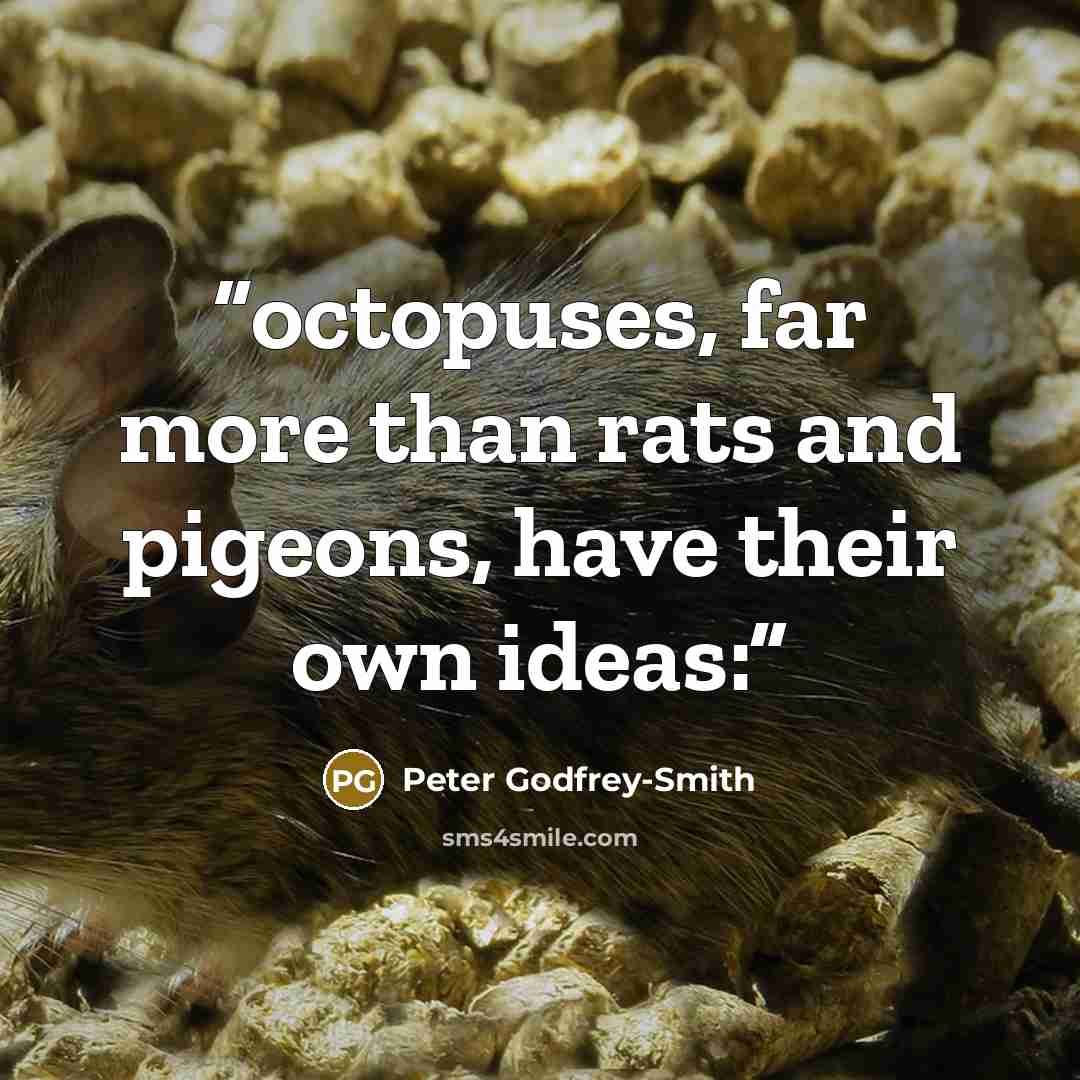 “octopuses, far more than rats and pigeons, have their own ideas:” quote by Peter Godfrey-Smith