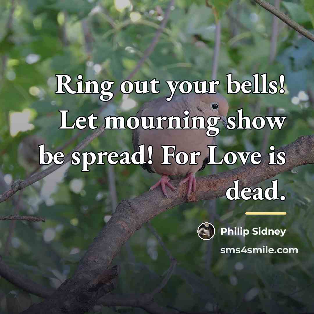 “Ring out your bells! Let mourning show be spread! For…” quote by Philip Sidney