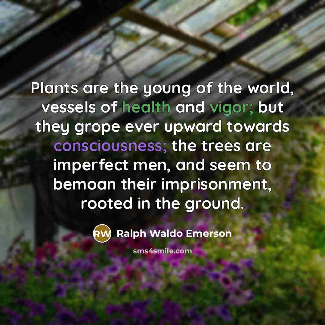 “Plants are the young of the world, vessels of health…” quote by Ralph Waldo Emerson