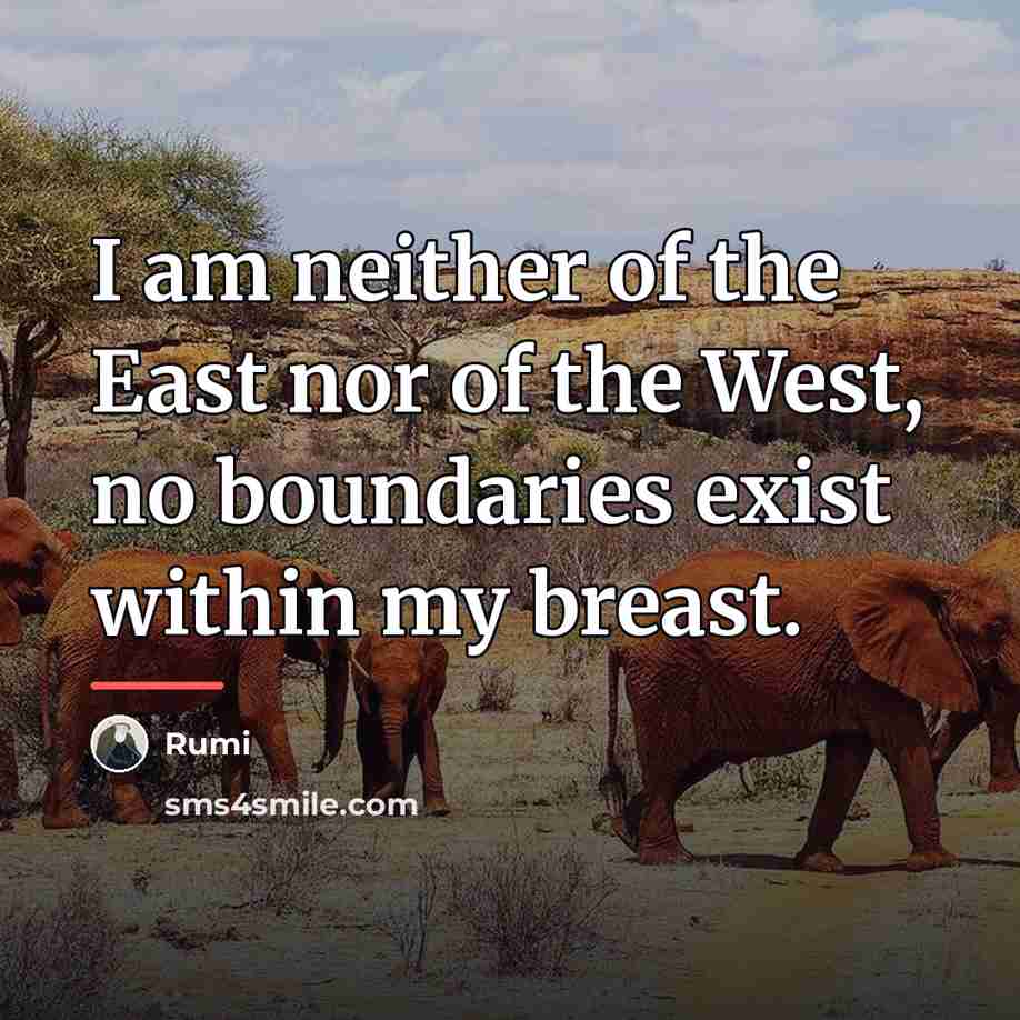 “I am neither of the East nor of the West,…” quote by Rumi
