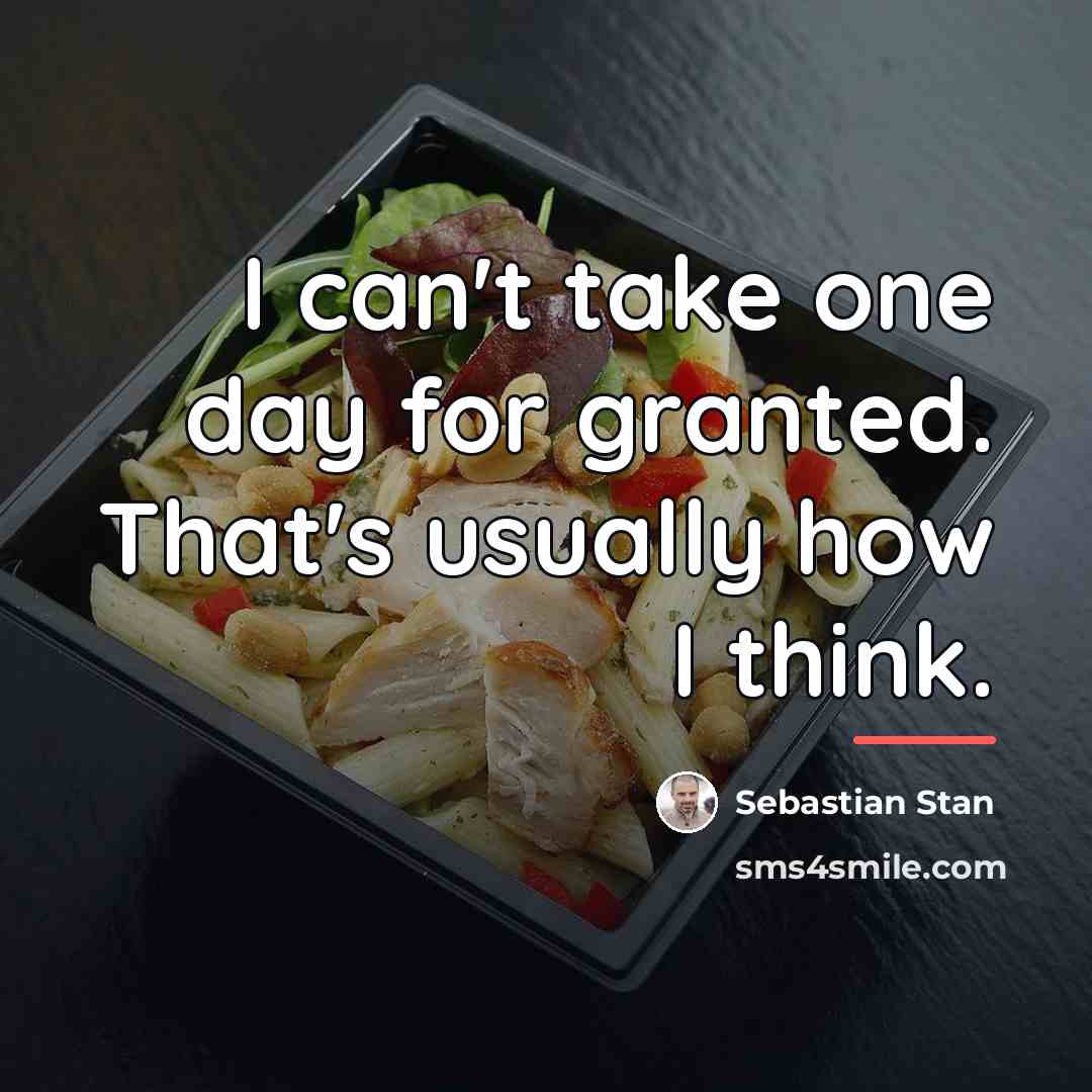 “I can't take one day for granted. That's usually how…” quote by Sebastian Stan