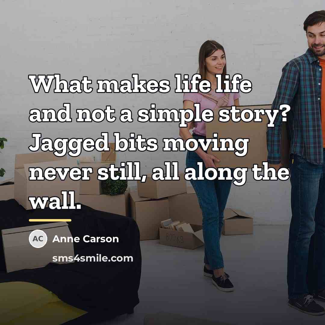 “What makes life life and not a simple story? Jagged…” quote by Anne Carson
