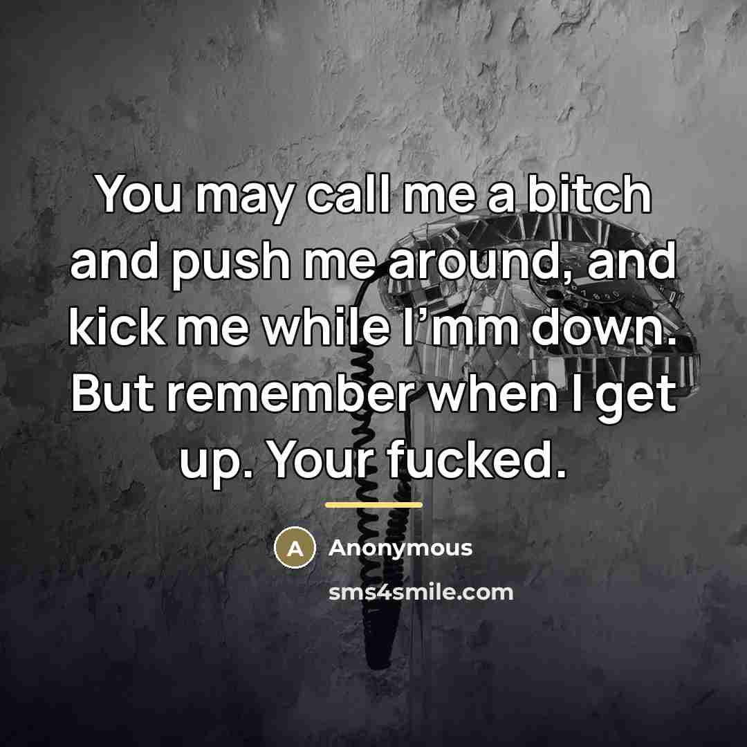 “You may call me a bitch and push me around,…” quote by Anonymous