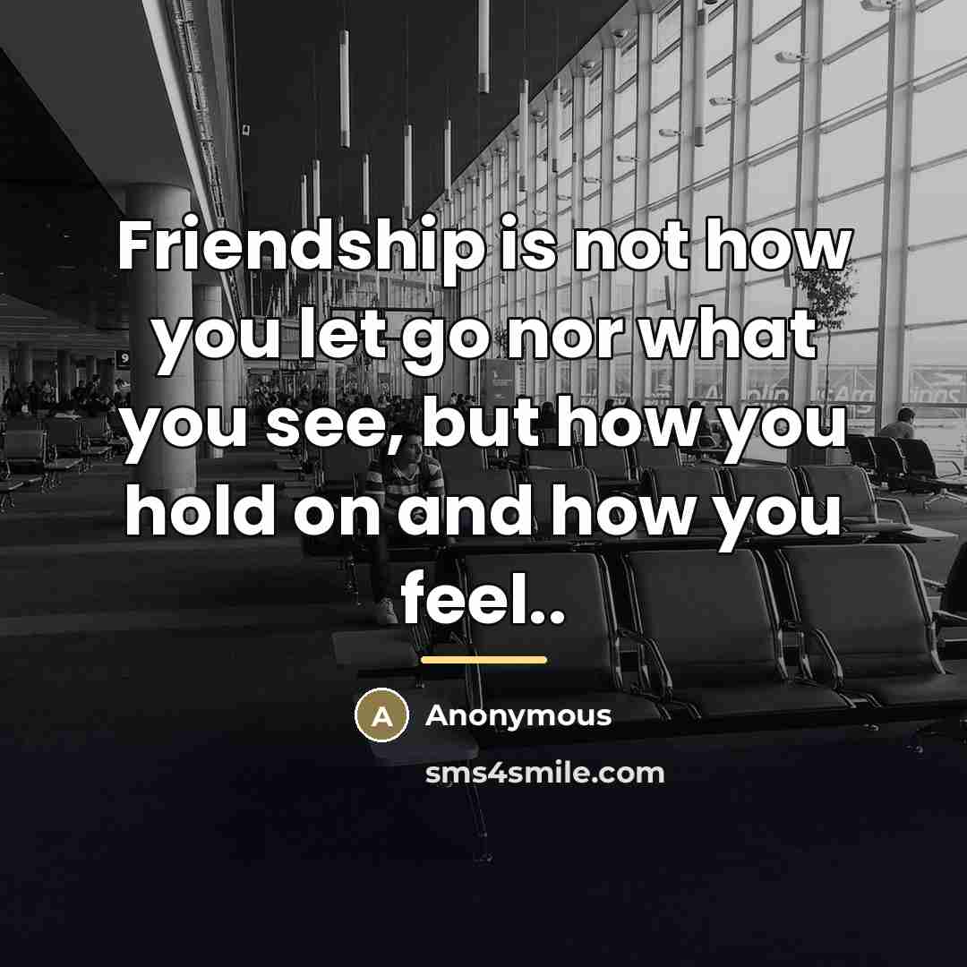 “Friendship is not how you let go nor what you…” quote by Anonymous