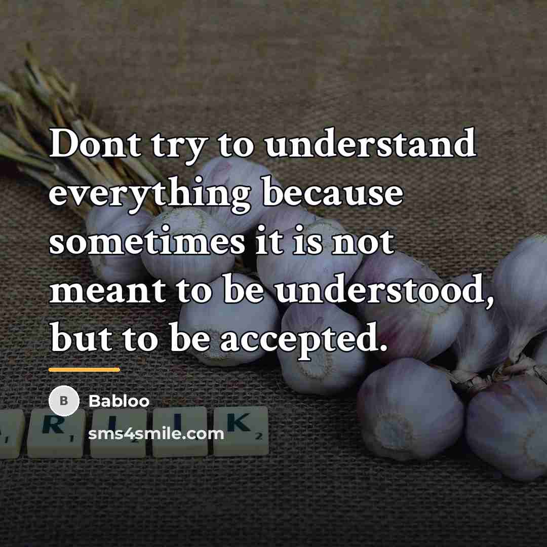 “Dont try to understand everything because sometimes it is not…” quote by Babloo