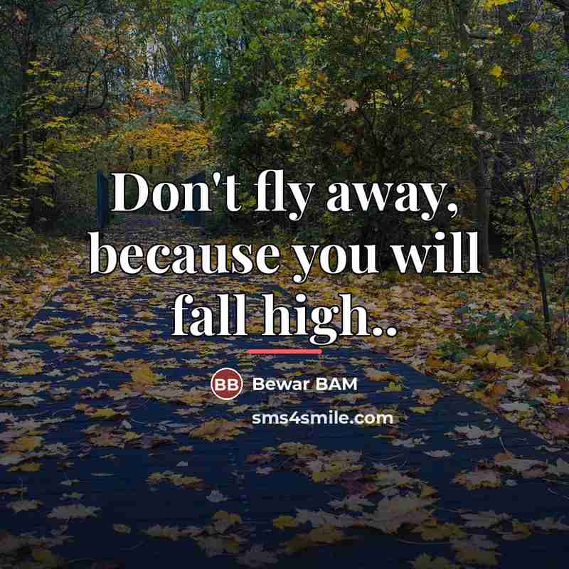 “Don't fly away, because you will fall high..…” quote by Bewar BAM