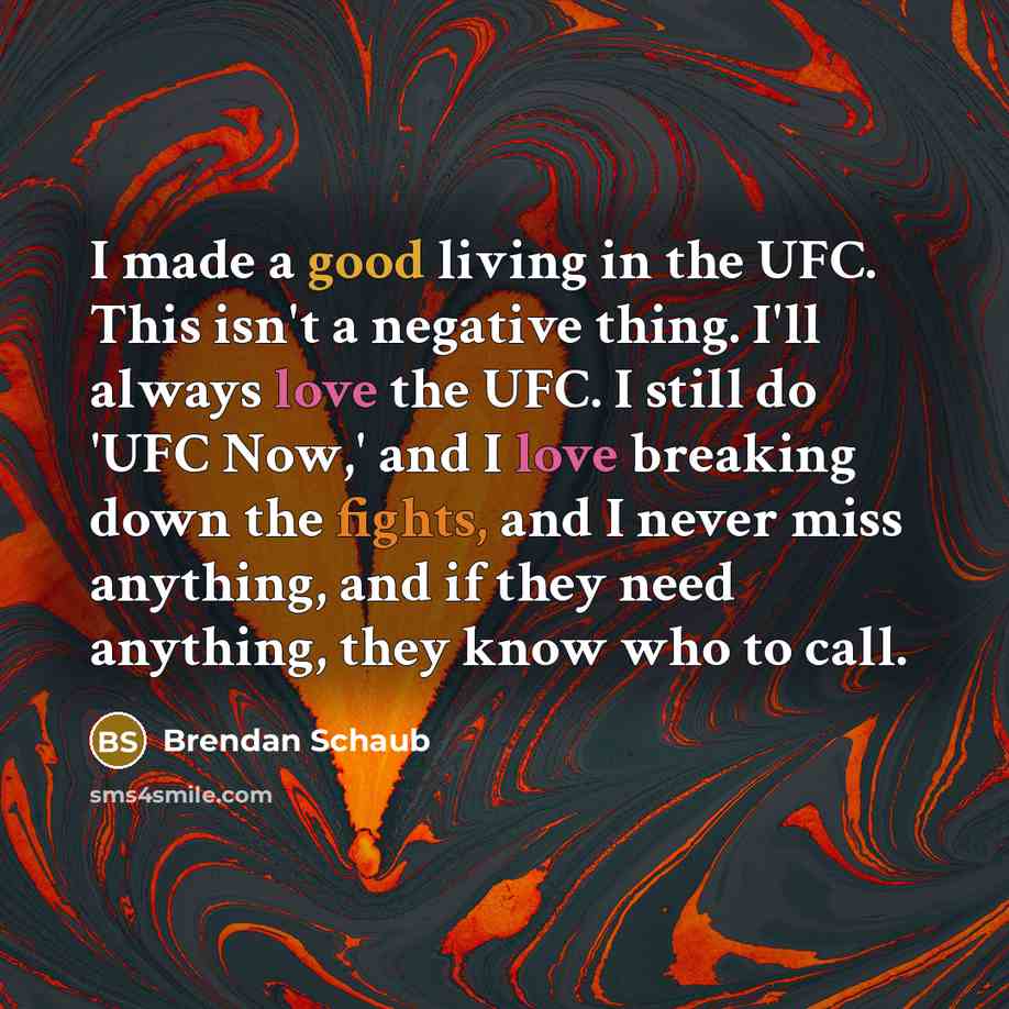 “I made a good living in the UFC. This isn't…” quote by Brendan Schaub