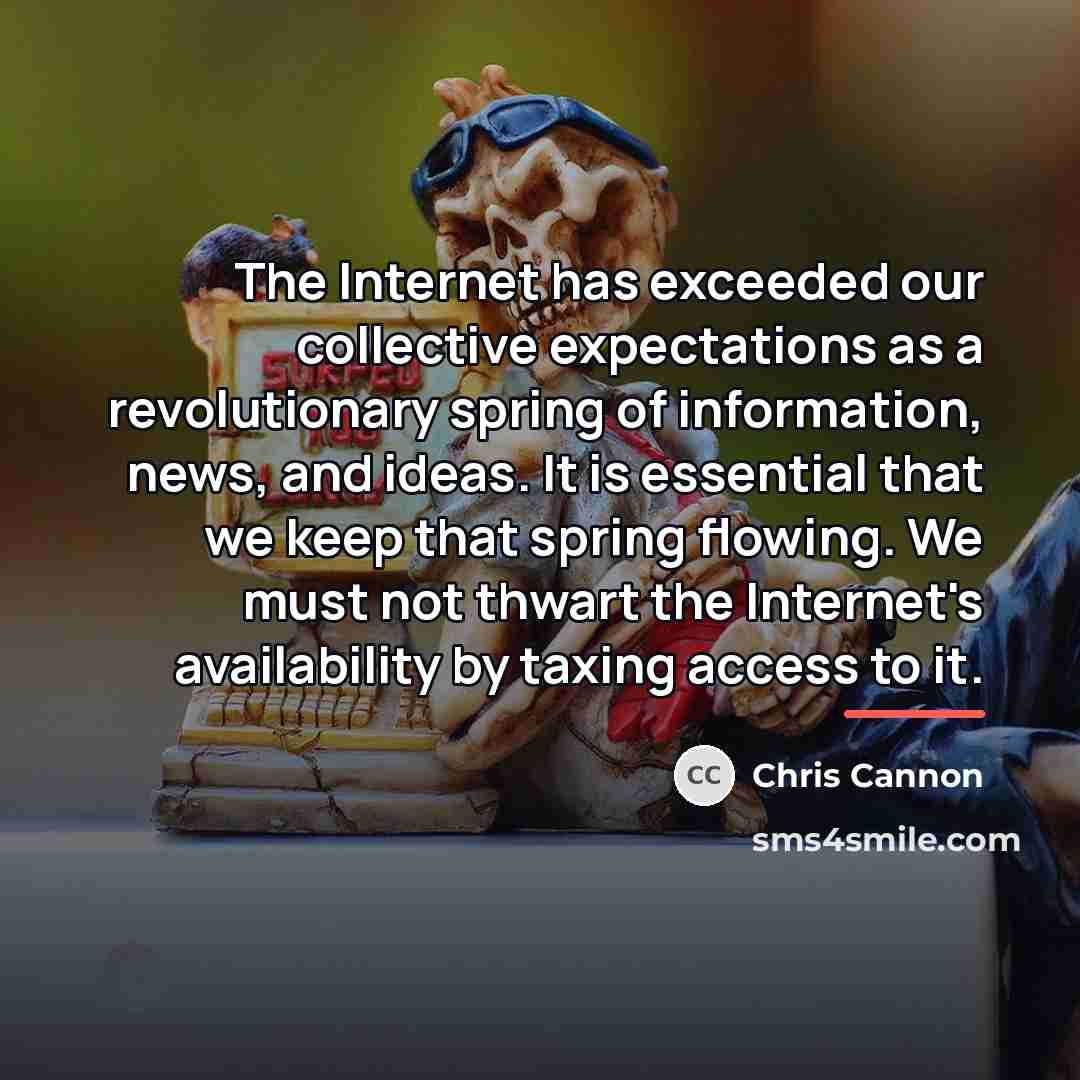 “The Internet has exceeded our collective expectations as a revolutionary…” quote by Chris Cannon