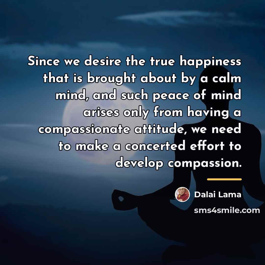 “Since we desire the true happiness that is brought about…” quote by Dalai Lama