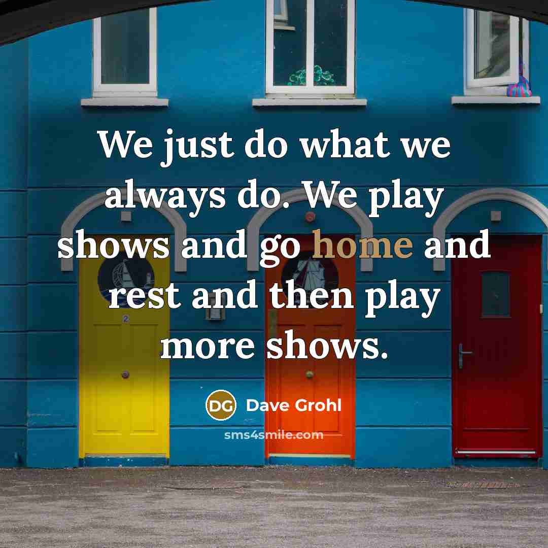 “We just do what we always do. We play shows…” quote by Dave Grohl