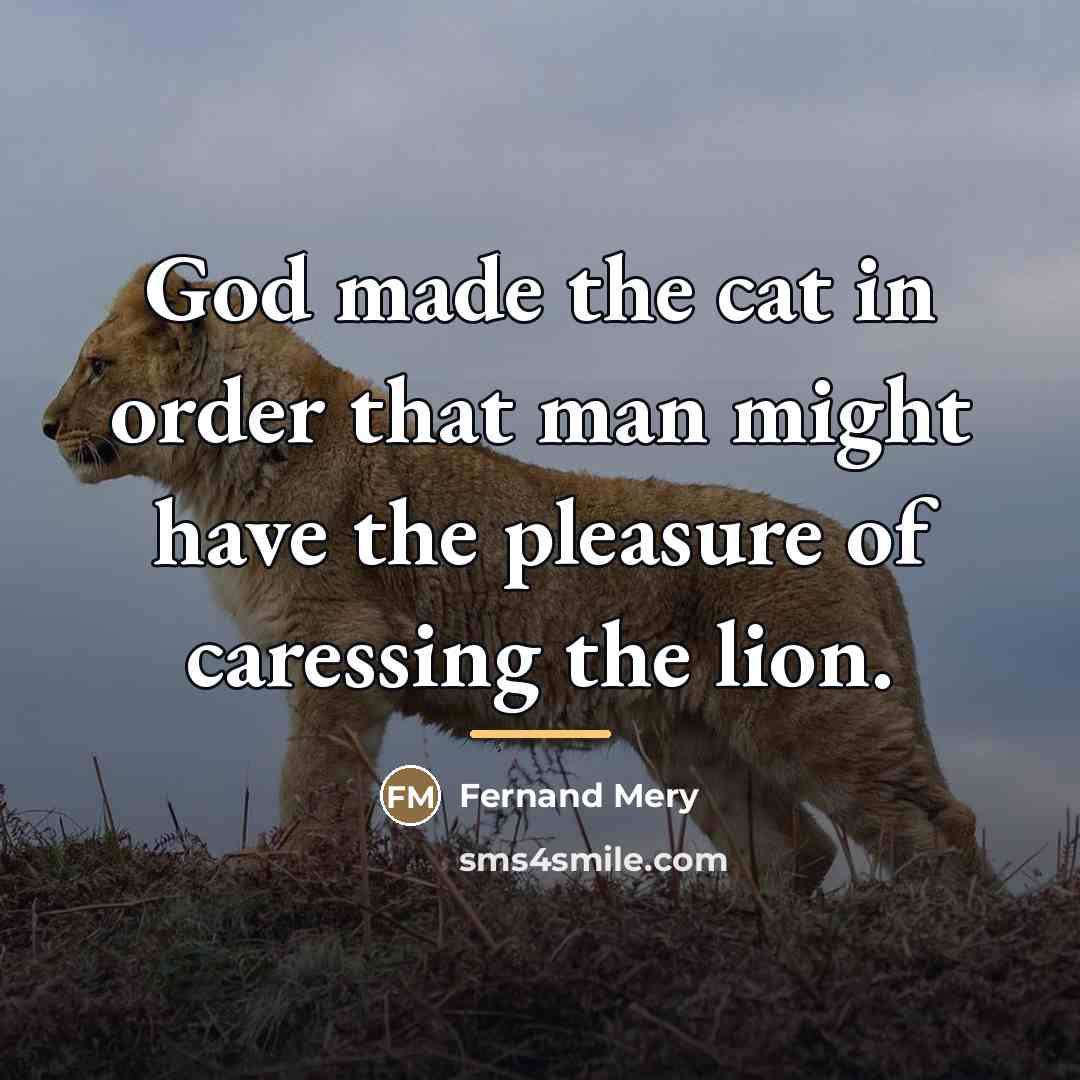 “God made the cat in order that man might have…” quote by Fernand Mery