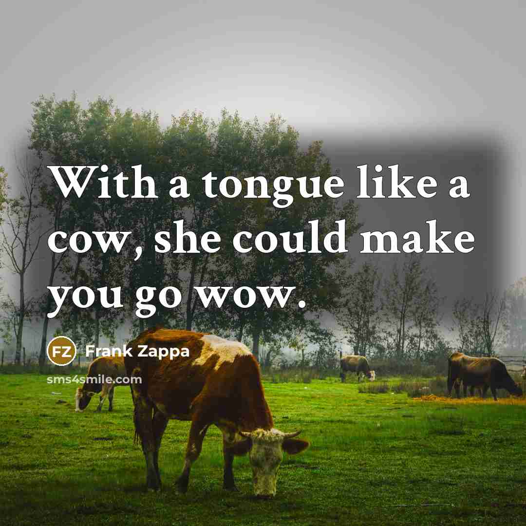 “With a tongue like a cow, she could make you…” quote by Frank Zappa