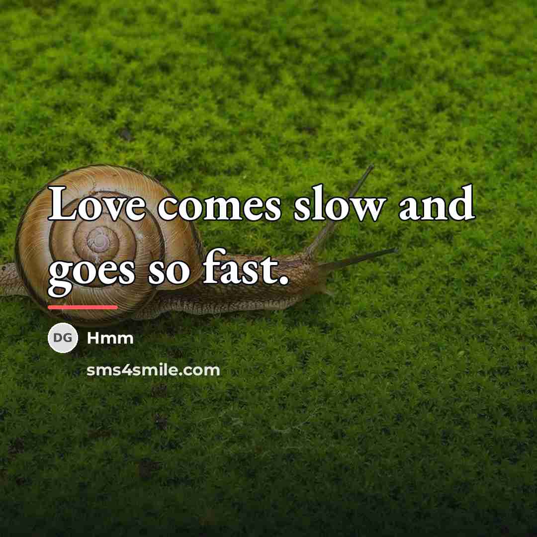 “Love comes slow and goes so fast.…” quote by Hmm
