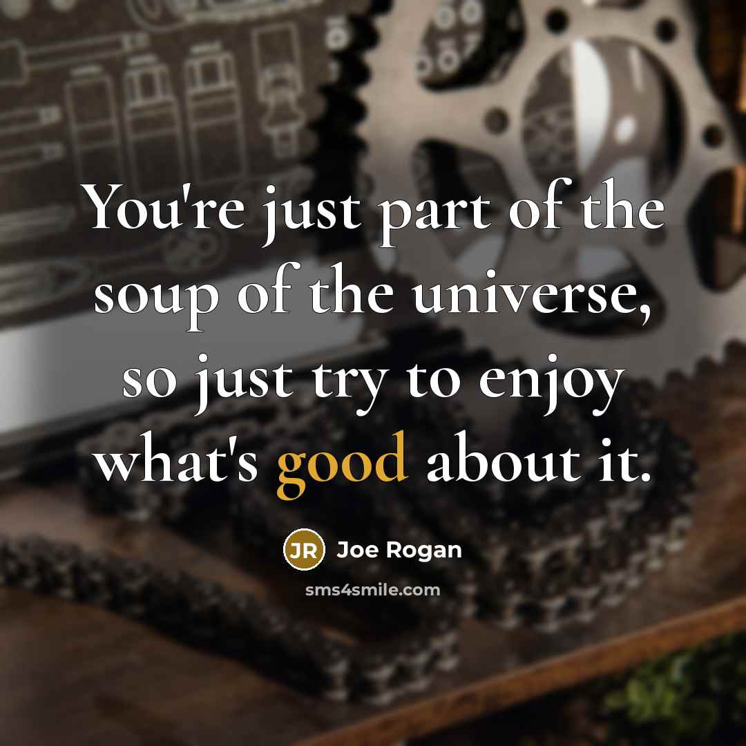“You're just part of the soup of the universe, so…” quote by Joe Rogan