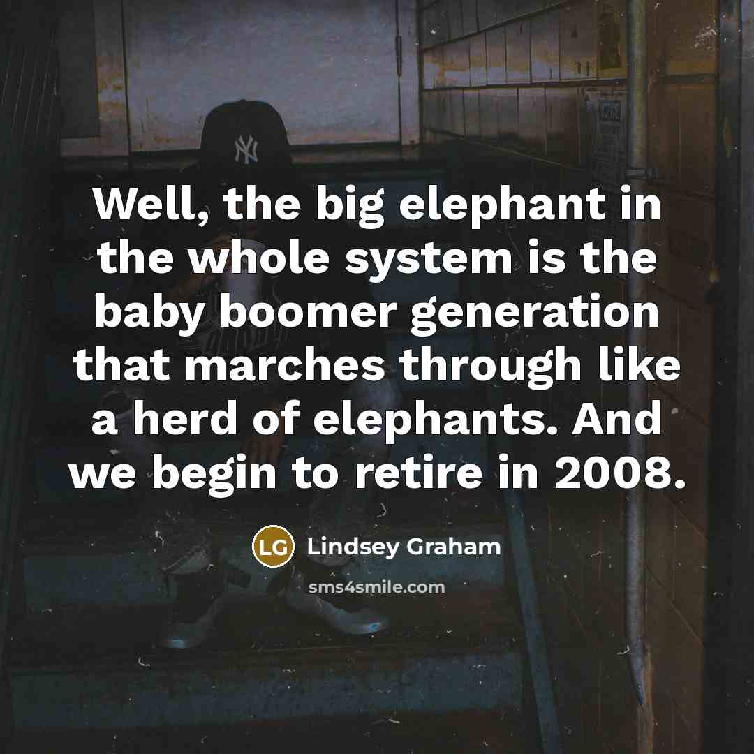 “Well, the big elephant in the whole system is the…” quote by Lindsey Graham