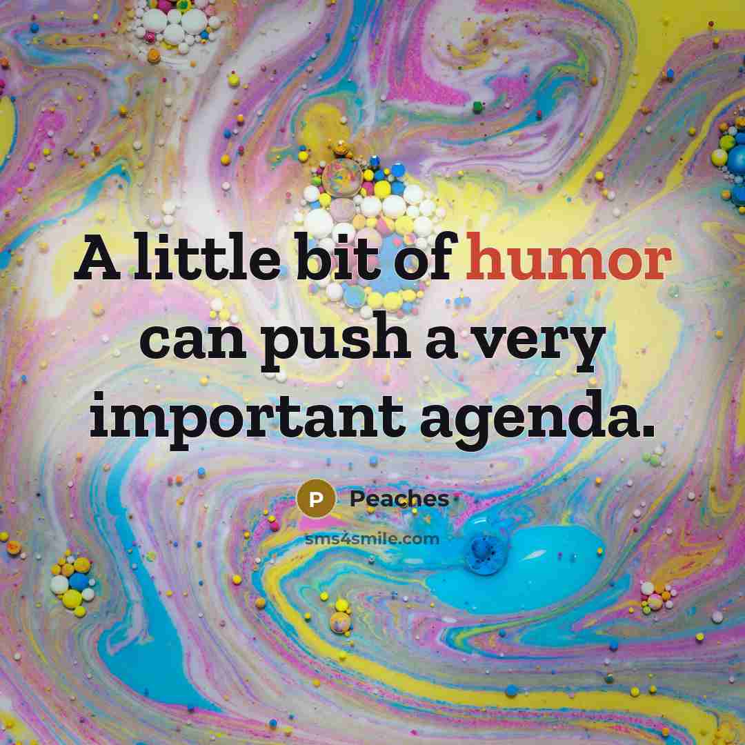 “A little bit of humor can push a very important…” quote by Peaches