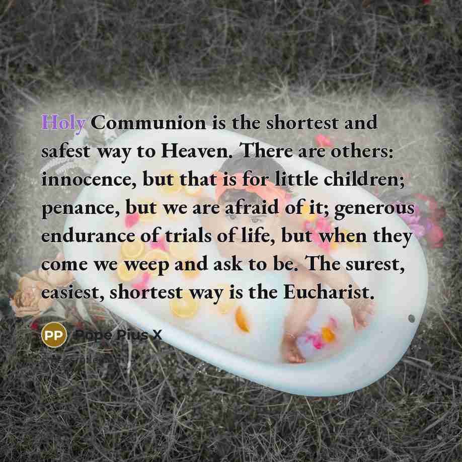 “Holy Communion is the shortest and safest way to Heaven.…” quote by Pope Pius X