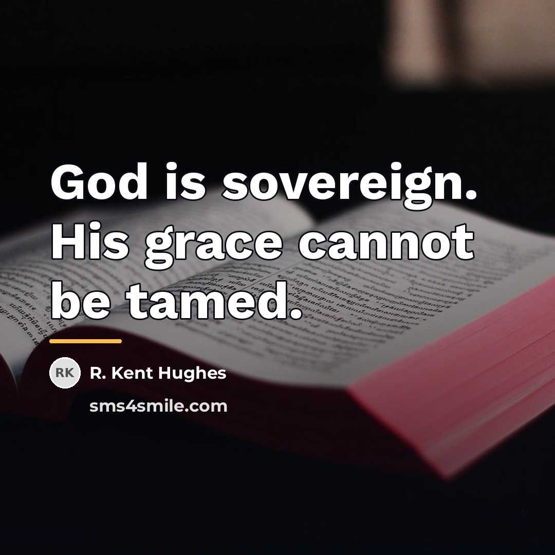 “God is sovereign. His grace cannot be tamed.…” quote by R. Kent Hughes