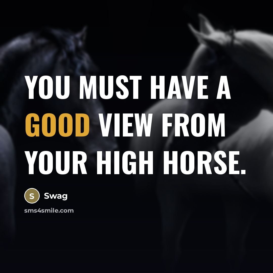 “You must have a good view from your high horse.…” quote by Swag