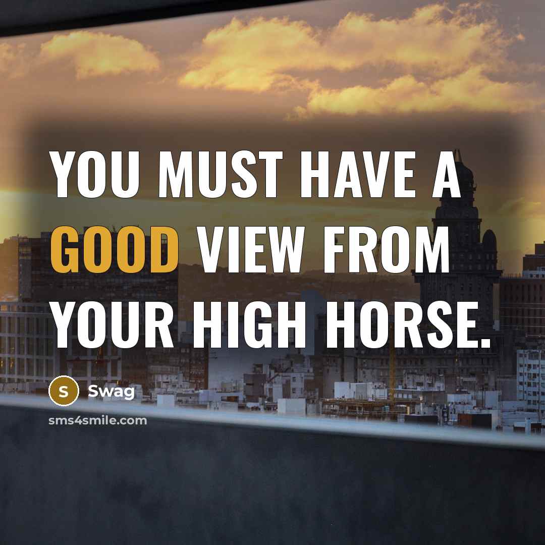 “You must have a good view from your high horse.” quote by Swag