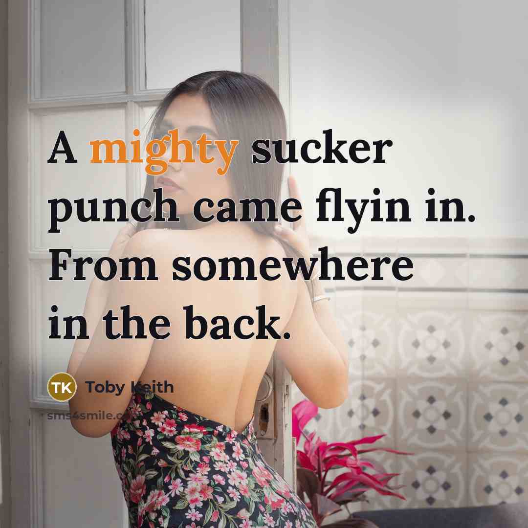“A mighty sucker punch came flyin in. From somewhere in the back.” quote by Toby Keith