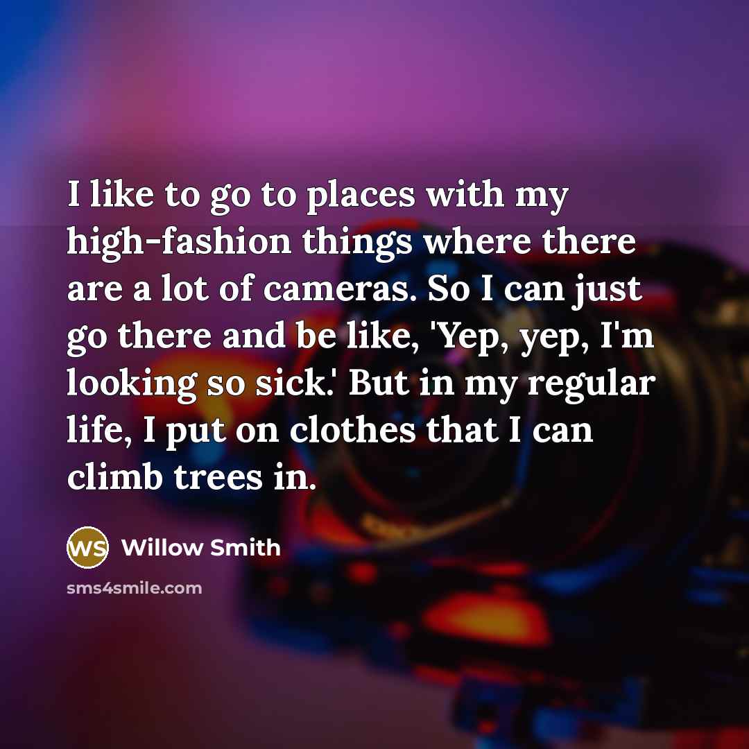 “I like to go to places with my high-fashion things…” quote by Willow Smith