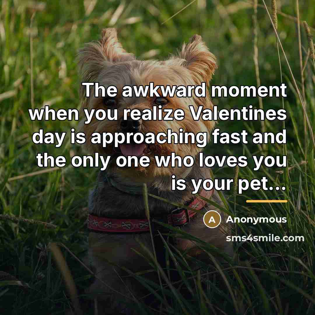 “The awkward moment when you realize Valentines day is approaching…” quote by Anonymous