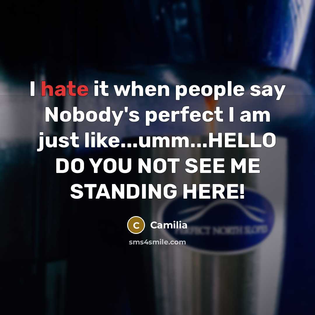 “I hate it when people say Nobody's perfect I am…” quote by Camilia