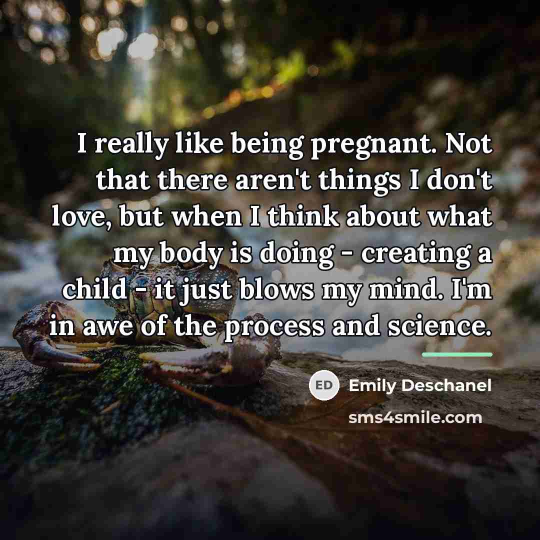 “I really like being pregnant. Not that there aren't things…” quote by Emily Deschanel