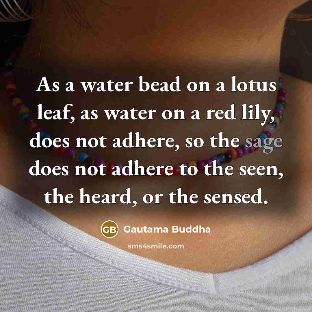 “As a water bead on a lotus leaf, as water…” quote by Gautama Buddha
