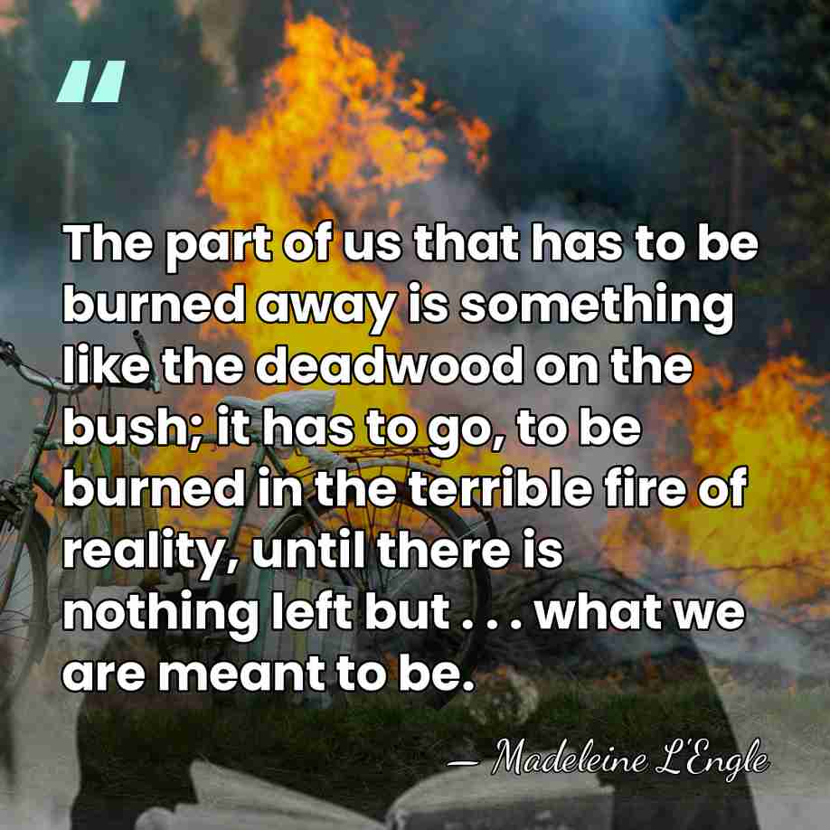 The part of us that has to be burned away is something&hellip; - Madeleine L'Engle
