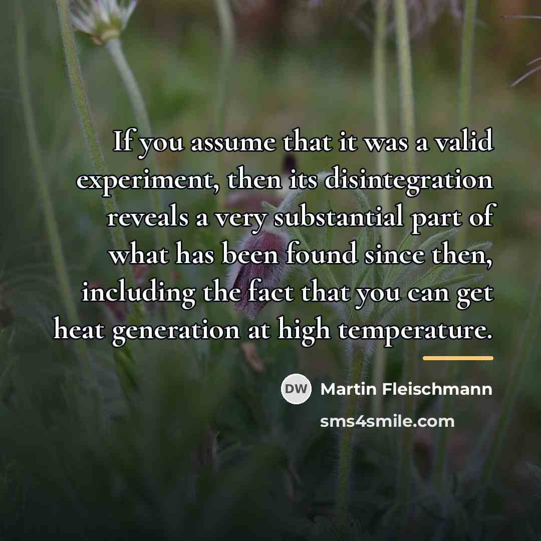 “If you assume that it was a valid experiment, then…” quote by Martin Fleischmann