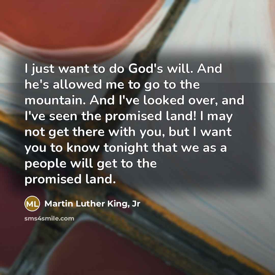 “I just want to do God's will. And he's allowed…” quote by Martin Luther King, Jr
