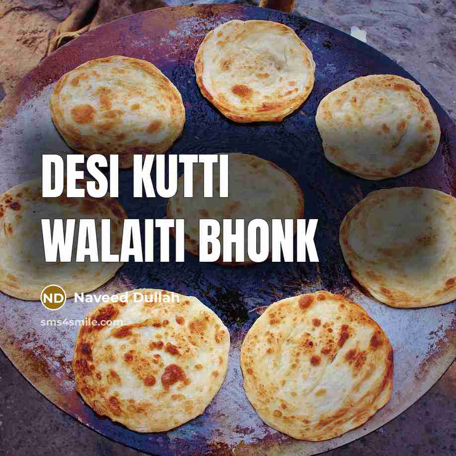 “DESI KUTTI WALAITI BHONK” quote by Naveed Dullah