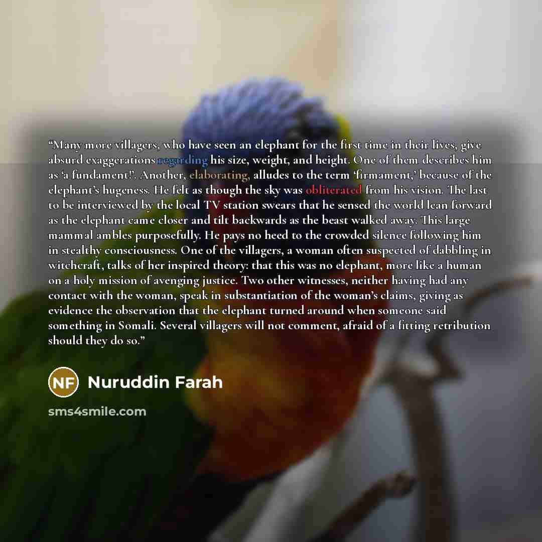 “Many more villagers, who have seen an elephant for the first time in their lives, give absurd exaggerations regarding his size, weight, and height. One of them describes him as ‘a fundament!’. Another, elaborating, alludes to the term ‘firmament,’ because of the elephant’s hugeness. He felt as…” quote by Nuruddin Farah