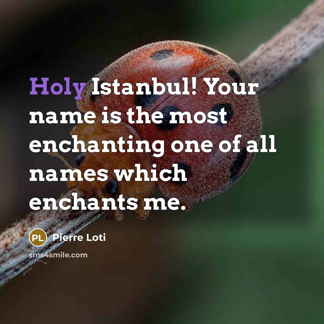 “Holy Istanbul! Your name is the most enchanting one of…” quote by Pierre Loti