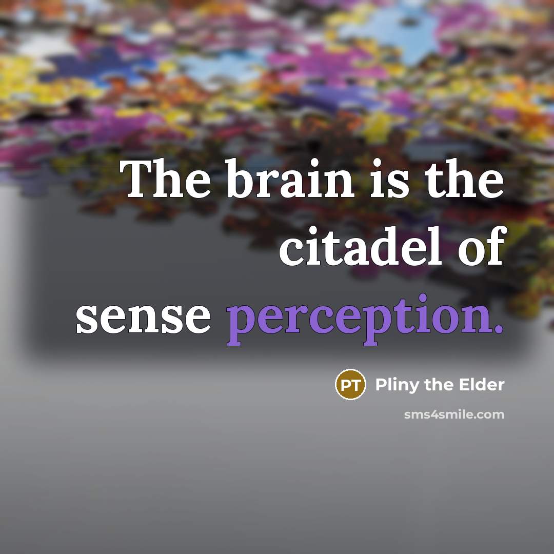 “The brain is the citadel of sense perception.…” quote by Pliny the Elder
