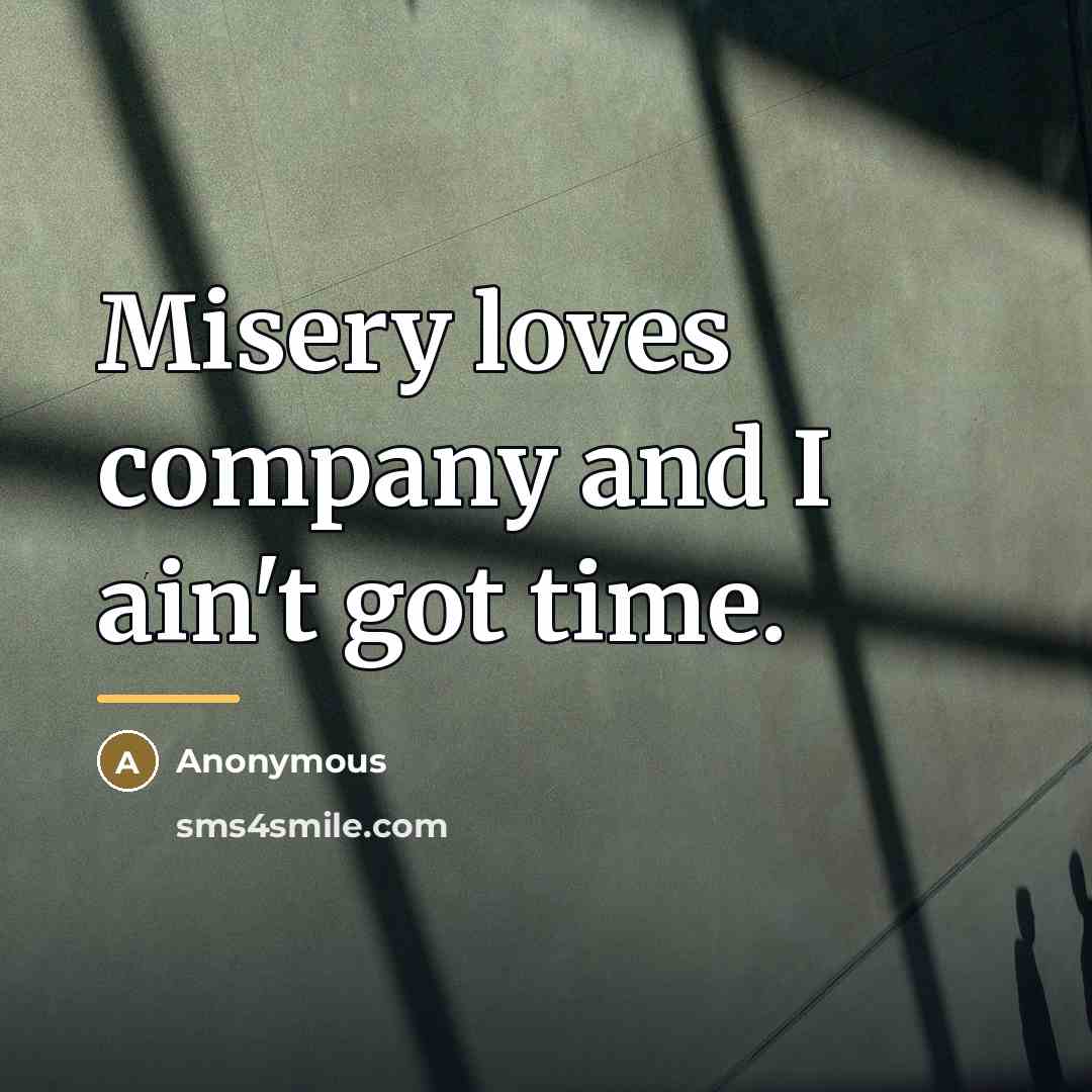 “Misery loves company and I ain't got time.…” quote by Anonymous