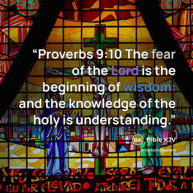 “Proverbs 9:10 The fear of the Lord is the beginning of wisdom: and the knowledge of the holy is understanding.” quote by Bible KJV