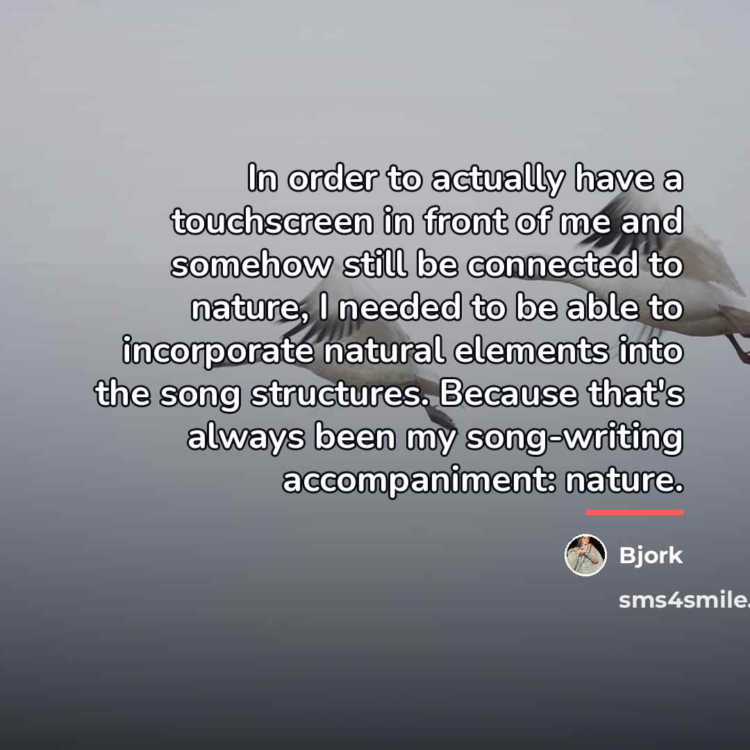 “In order to actually have a touchscreen in front of…” quote by Bjork