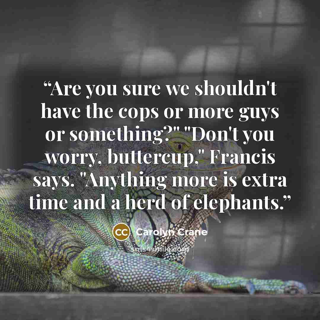 “Are you sure we shouldn't have the cops or more guys or something?" "Don't you worry, buttercup," Francis says. "Anything more is extra time and a herd of elephants.” quote by Carolyn Crane