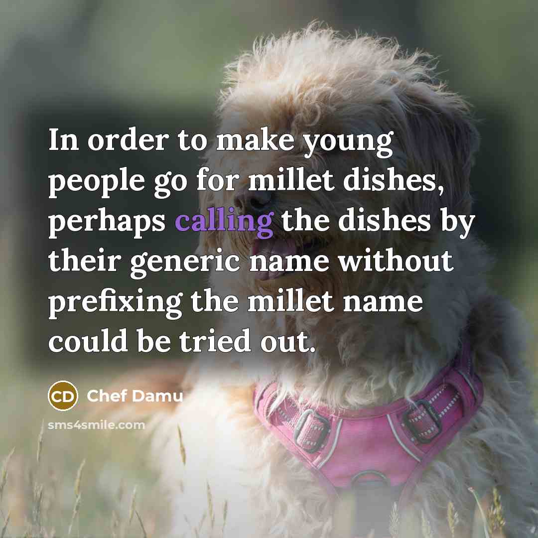“In order to make young people go for millet dishes,…” quote by Chef Damu