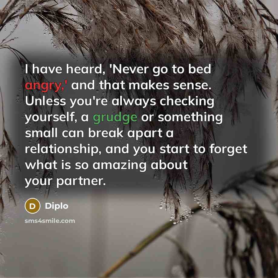 “I have heard, 'Never go to bed angry,' and that…” quote by Diplo
