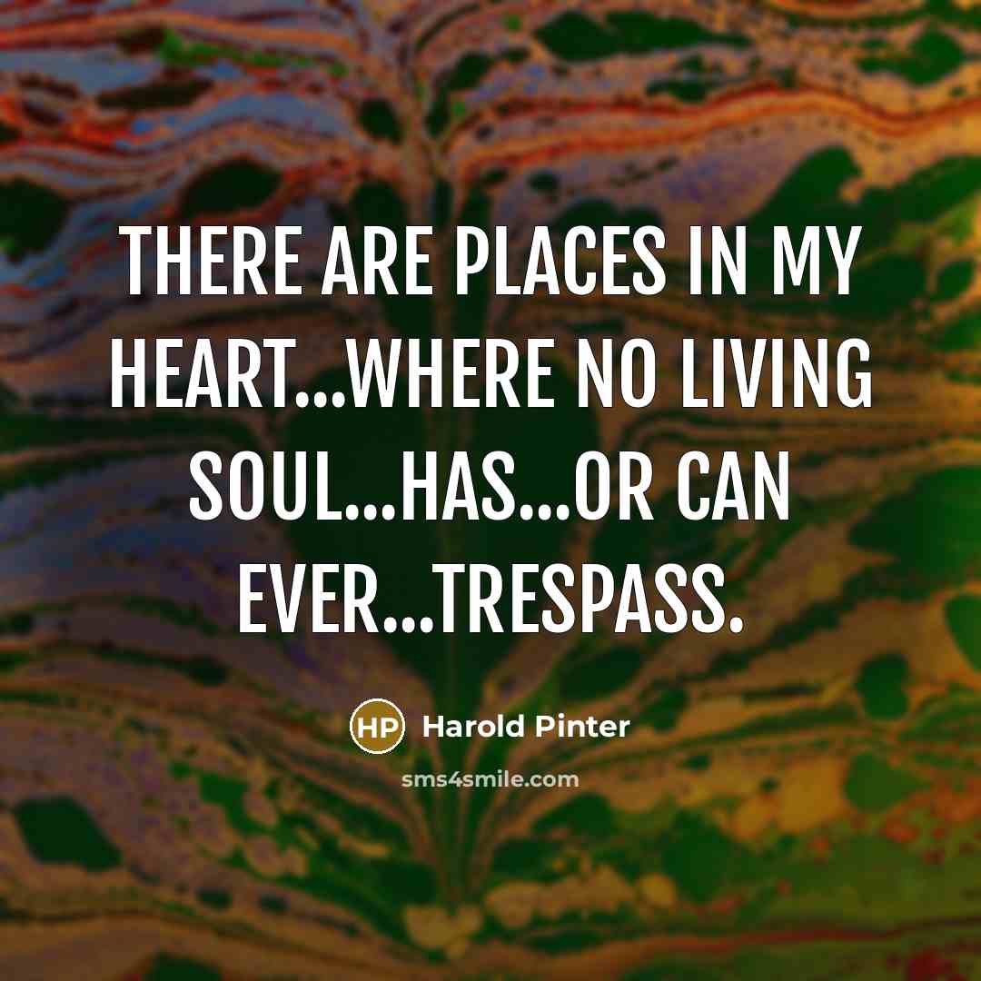 “There are places in my heart...where no living soul...has...or can…” quote by Harold Pinter