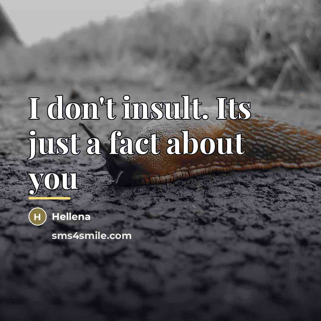 “I don't insult. Its just a fact about you…” quote by Hellena